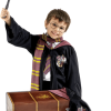 Childrens Deluxe Harry Potter Costume And Trunk