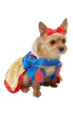 Snow White Dog Costume