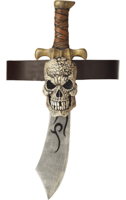 Pirate Sword & Skull Sheath