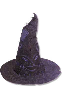 Harry Potter Sorting Hat