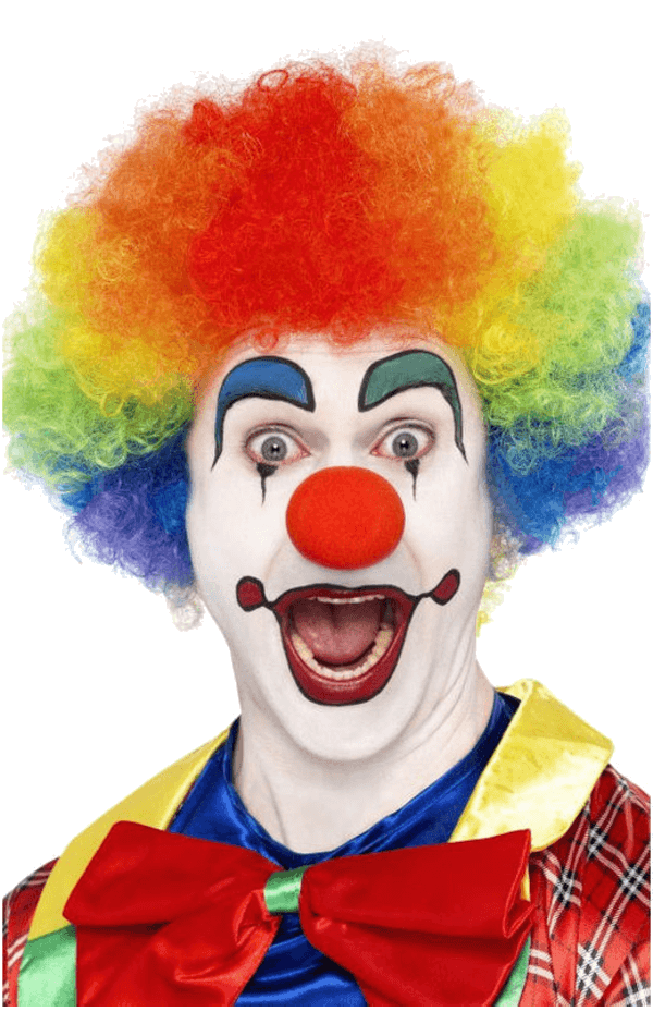 Rainbow Clown Afro Wig 2 Rainbow Clown Afro Wig - Image 2