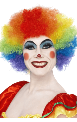 Rainbow Clown Afro Wig