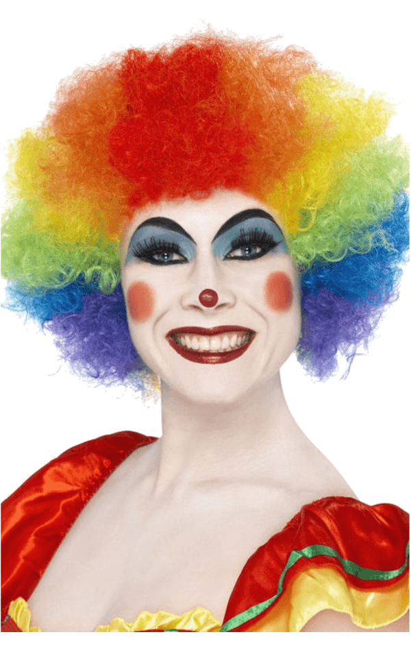 Rainbow Clown Afro Wig 1 Rainbow Clown Afro Wig