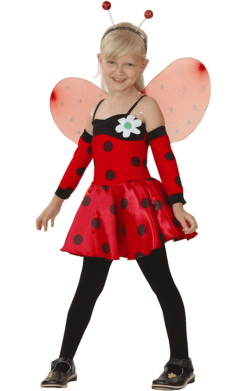Kids Ladybird Costume