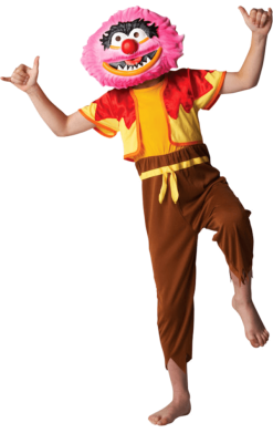 Kids The Muppets Animal Costume