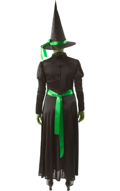Adult Wicked Green West Witch Costume -Fancy Dress Shop 00015570a02