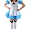 Adult Original Alice In Wonderland Costume