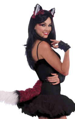 Forum Novelties Fox Ears And Tail Accessory