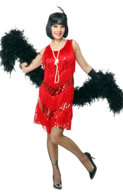 Dreamgirl Jazzy Flapper Dress Costume