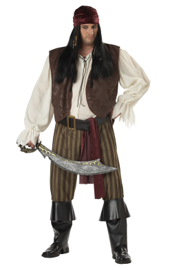 Mens Plus Size Rogue Pirate Costume