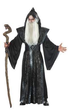 Mens Mystic Wizard Costume