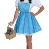 Womens Classic Dorothy Costume